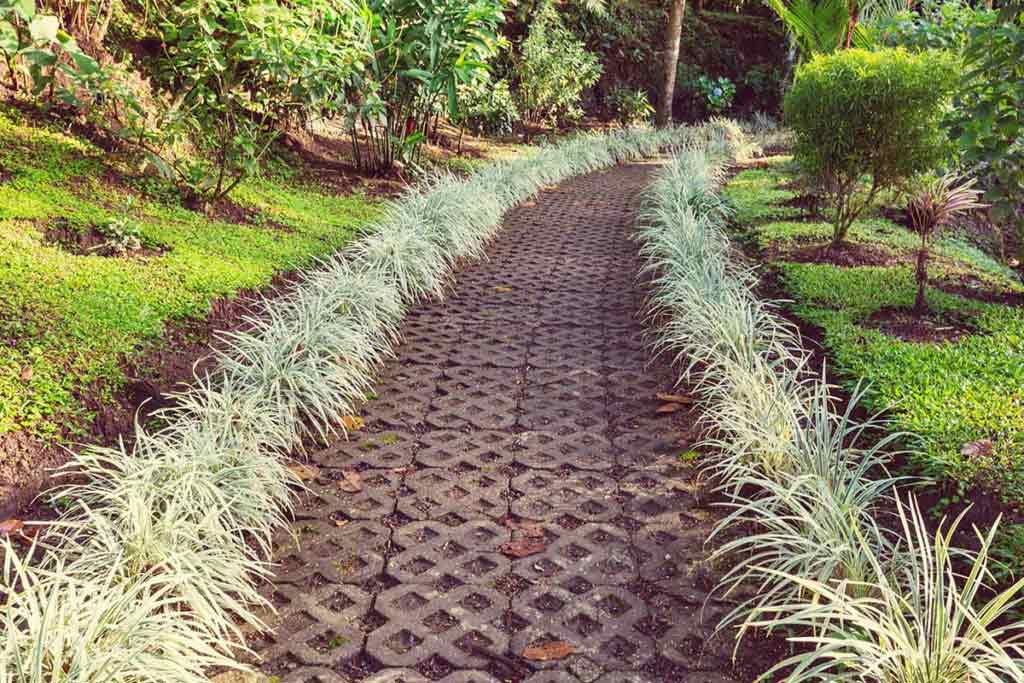 vegetation to hold the water and soil in place is inspected